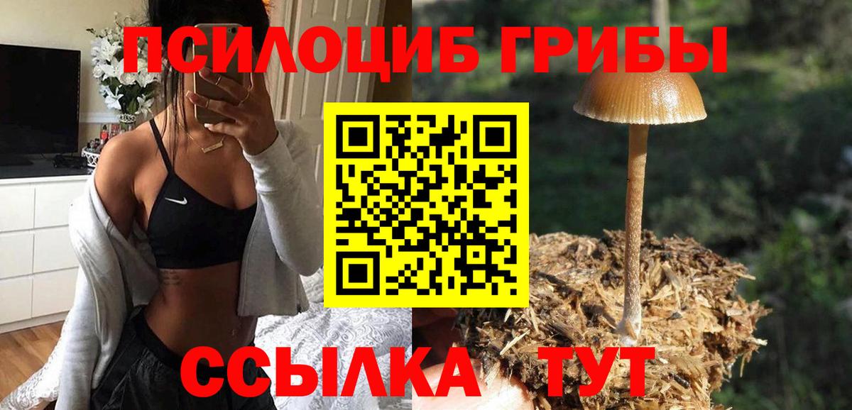 Псилоцибиновые грибы Magic Shrooms  Вход с VPN  Узловая 
